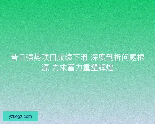 昔日强势项目成绩下滑 深度剖析问题根源 力求蓄力重塑辉煌